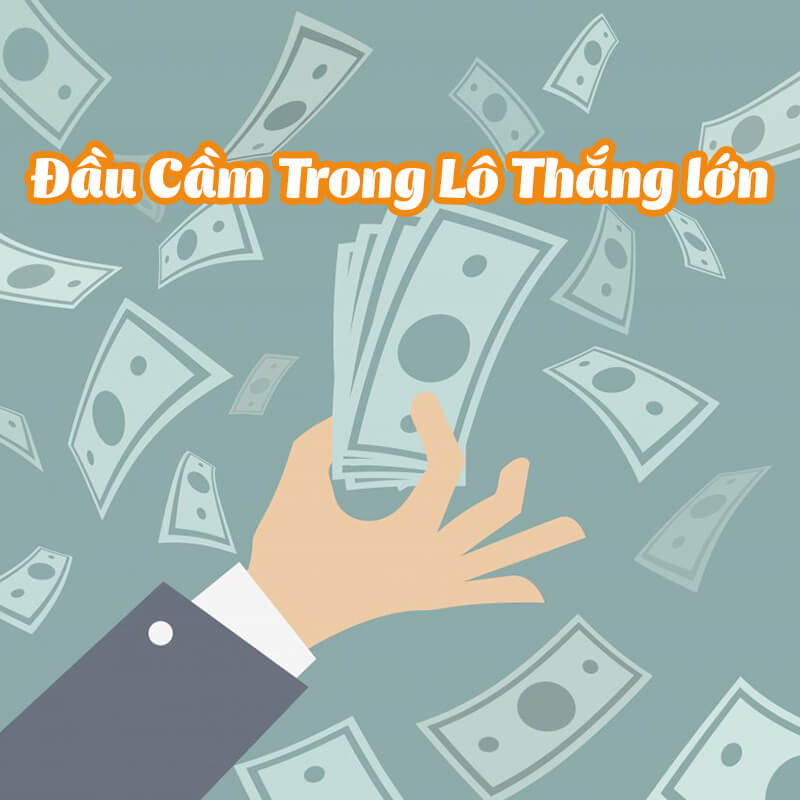 dau cam trong lo thang lon
